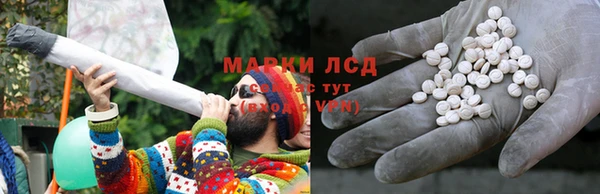 СК Волоколамск