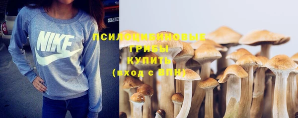 СК Волоколамск
