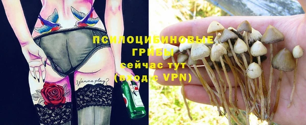 герыч Володарск