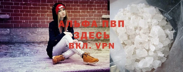 СК Волоколамск