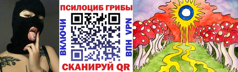где можно купить наркотик  Иланский  Галлюциногенные грибы мухоморы 